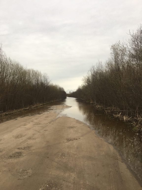 Вода в Северной Двине прибывает. В районе поселка Березник Виноградовского района +43 см за сутки