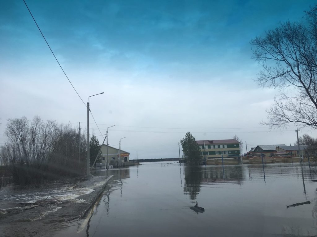 Разлилась широко вешняя вода. Северная Двина в поселке Березник по состоянию на 15 часов