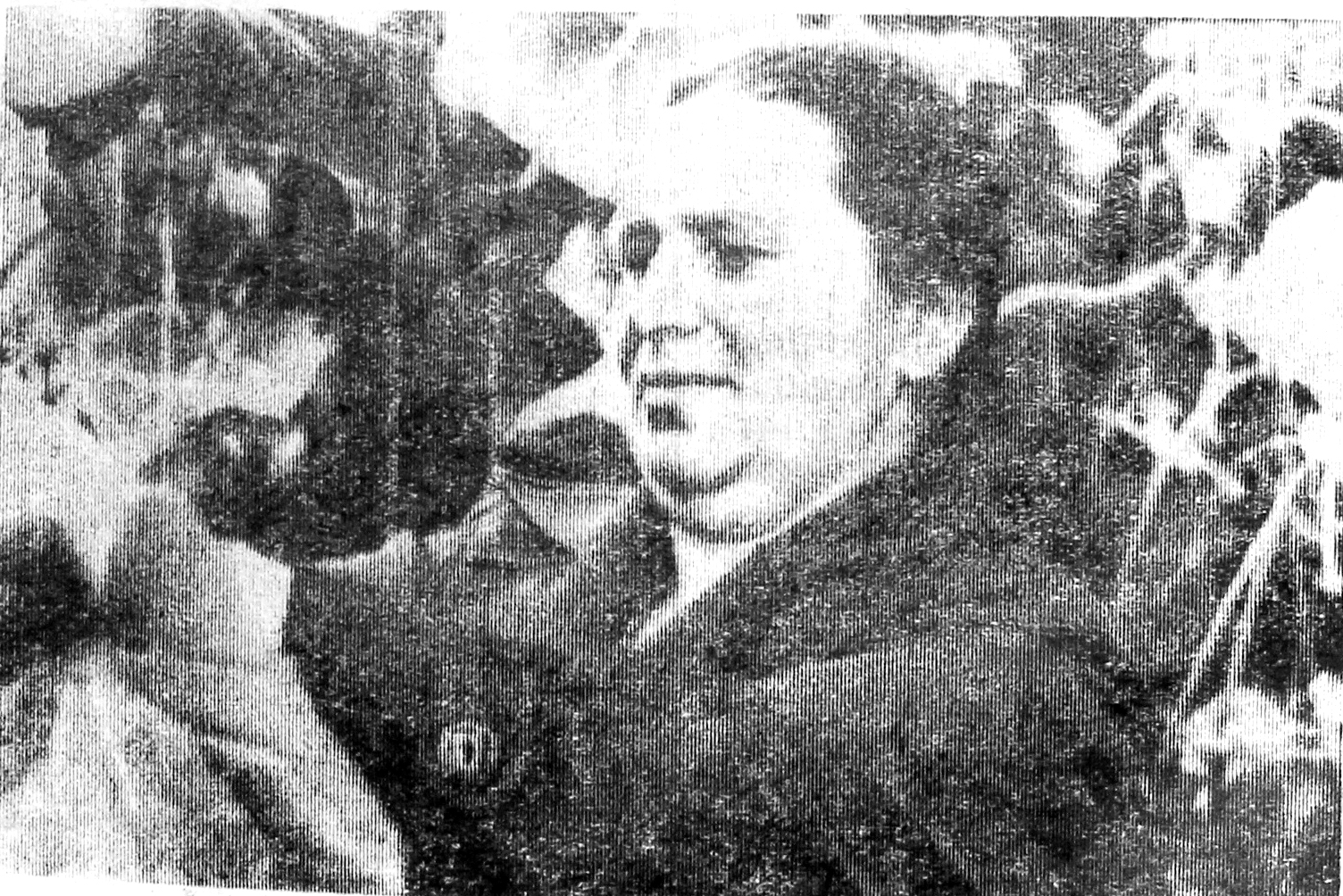 От Моржегоры до Березника: история садоводства в Виноградовском округе в газетных строчках