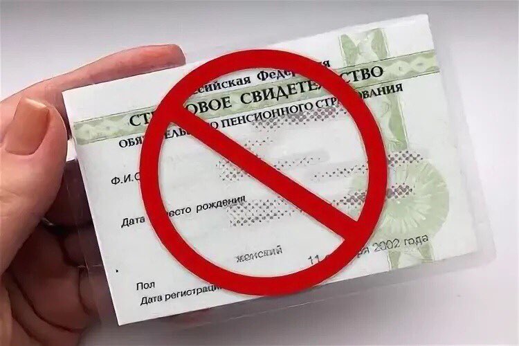 Пластиковые карточки СНИЛС заменены уведомлениями о регистрации