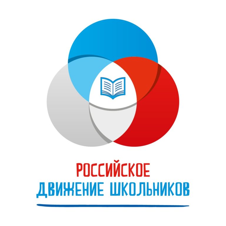 Миллион на добрые дела: волонтерские отряды РДШ получили поддержку своих проектов