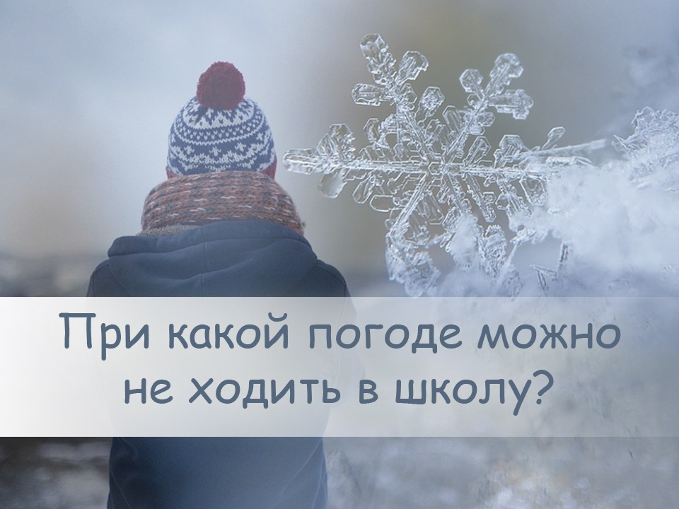 При каких отрицательных температурах дети могут не ходить в школу в Виноградовском районе?