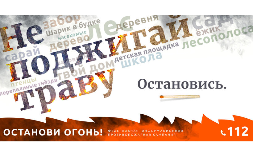 Пожароопасный сезон в лесах Архангельской области объявлен с 1 мая