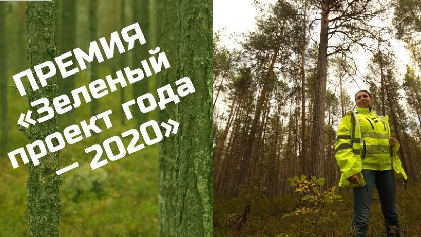 «Зеленый проект года-2020» принимает заявки от участников до 31 июля