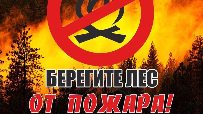 На 11 августа действующих лесных пожаров в Поморье не зафиксировано