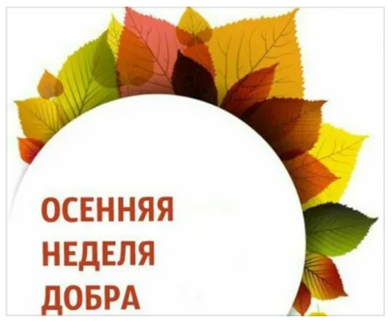 Вдвое больше добрых дел: традиционная волонтерская акция в Поморье в этот раз продлится две недели
