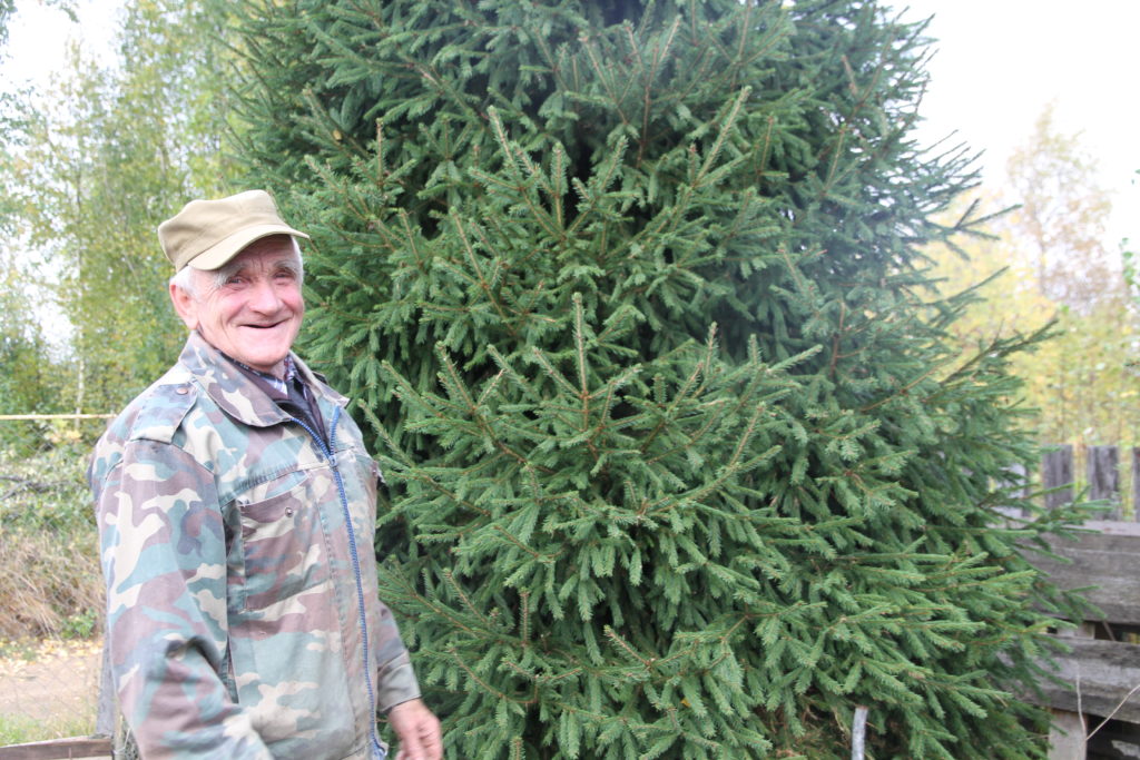 На своем приусадебном участке Василий Павлович Щеколдин из поселка Пянда Виноградовского района - главный дизайнер