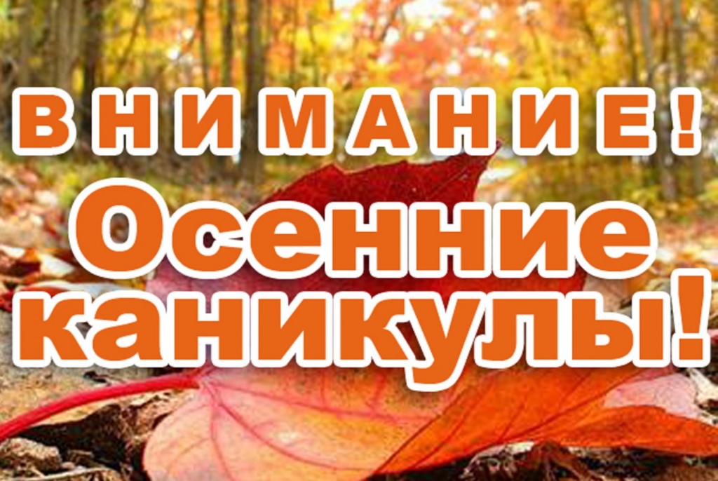 На территории Виноградовского района проводится профилактическое мероприятие «Детям – безопасные каникулы!»