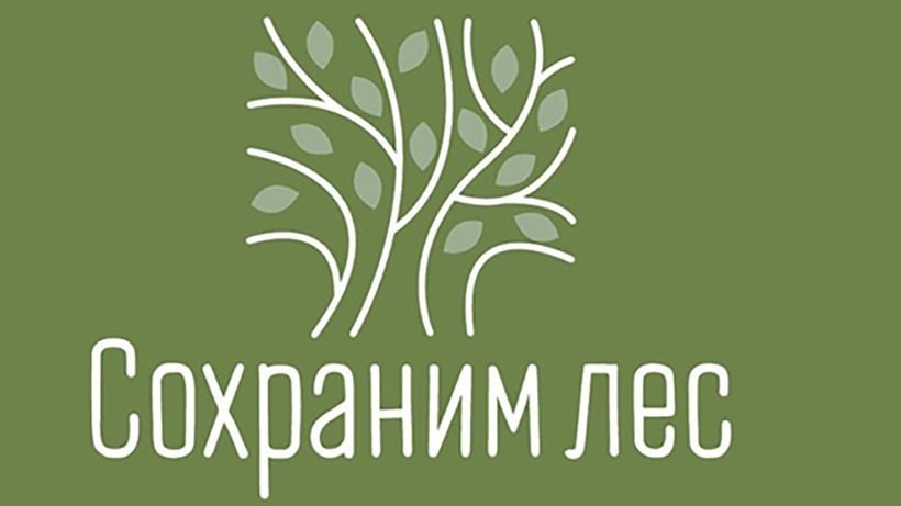 Поморье вошло в десятку регионов-лидеров по итогам акции «Сохраним лес – 2020»