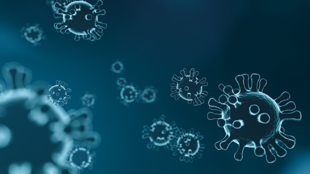 Новые комплексы для дезинфекции и измерения температуры поступят во все школы Поморья