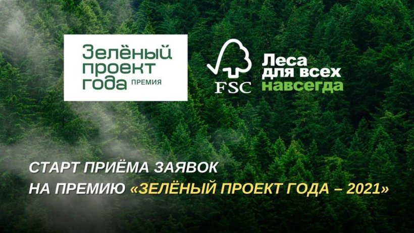 Стартовал прием заявок на всероссийский конкурс в области ответственного использования лесов