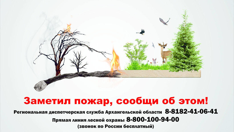 Оперштаб по тушению лесных пожаров: патрулирование лесов усилено