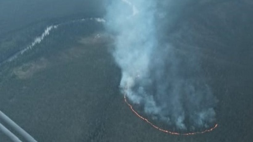 Пожароопасный сезон в лесах области продолжается