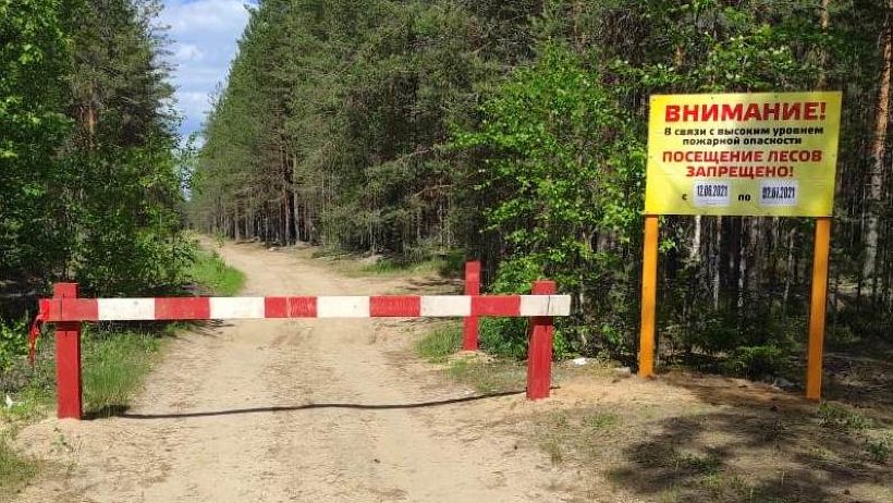 Продолжается противопожарное обустройство лесов Поморья