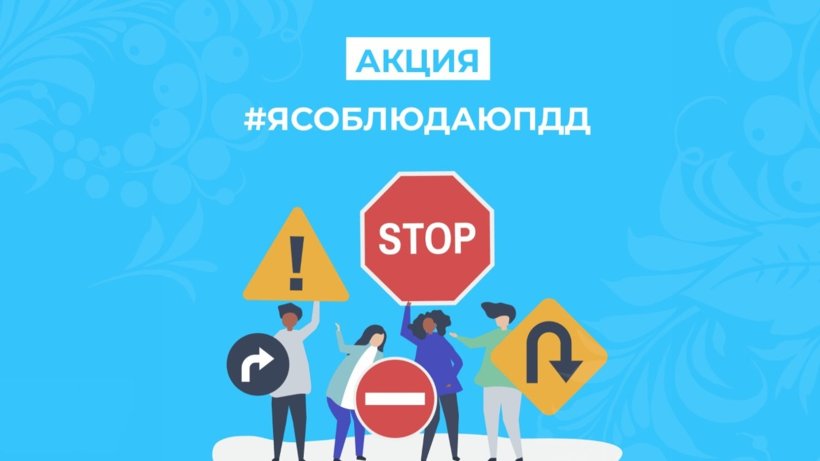 В Архангельской области проходит профилактическое мероприятие «Я соблюдаю ПДД»
