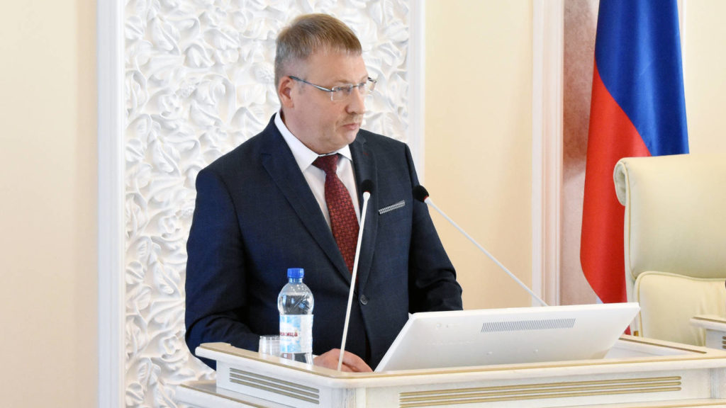 Те, кто делом помогает: представители добровольческого движения реализуют в Поморье почти 500 проектов