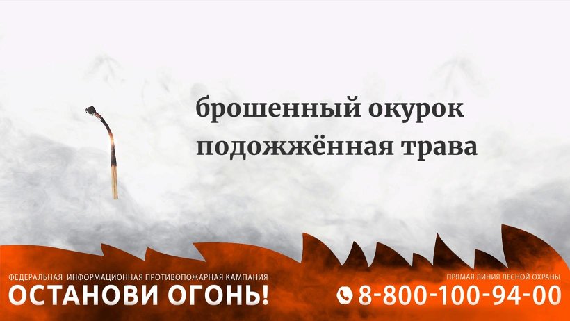 Пожароопасный сезон в лесах области продолжается