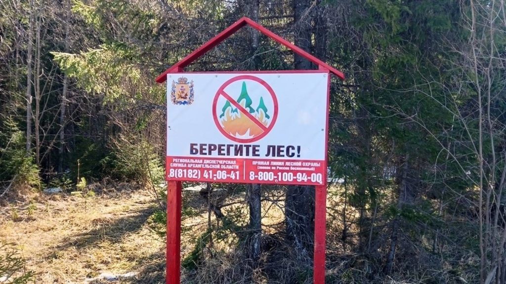 В Поморье подведены итоги по противопожарному обустройству лесов