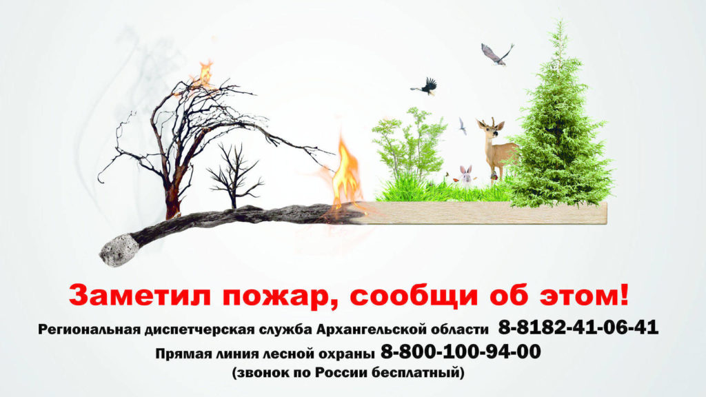 Лесопожарную ситуацию в области обсудили в минлеспроме региона