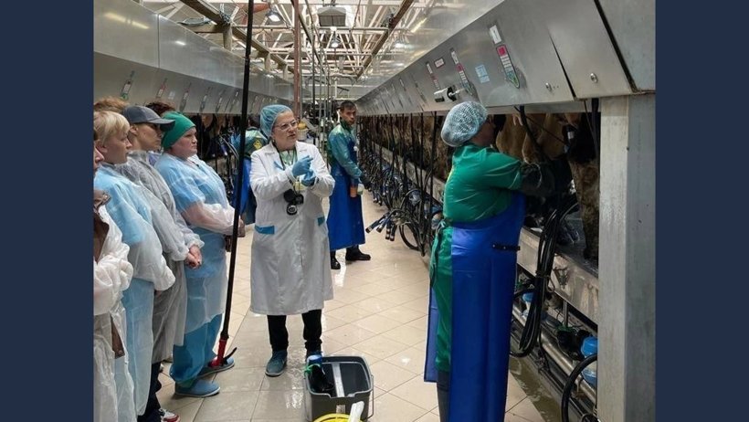В Устьянском районе подвели итоги Х Областного конкурса мастеров животноводства