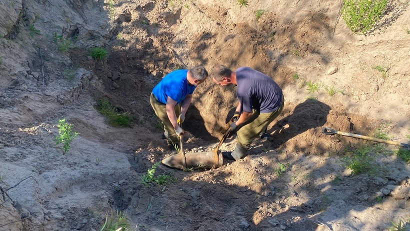 В Виноградовском округе обезвредили артиллерийский снаряд времен интервенции