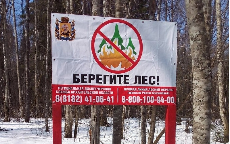 В Поморье стартовало противопожарное обустройство лесов