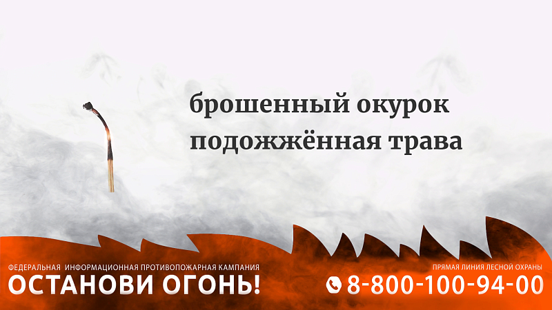 Рослесхоз подтвердил готовность Архангельской области к пожароопасному сезону