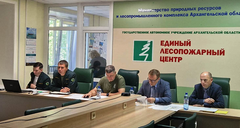 Причина большинства лесных пожаров в Поморье – неосторожное обращение с огнем населения
