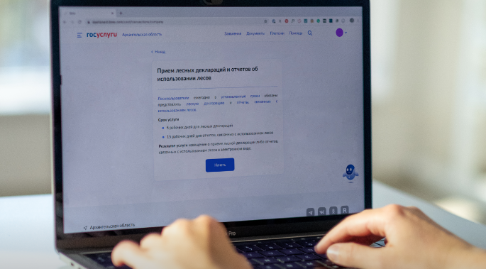В Поморье продолжается тестирование информационной системы лесного комплекса