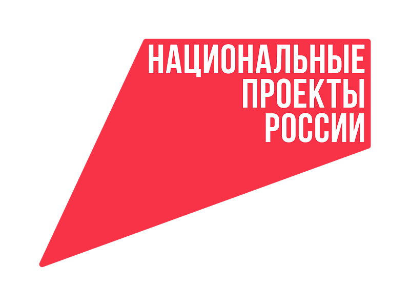 Национальные проекты России: каждый житель страны может внести свой вклад в совершенствование нацпроектов