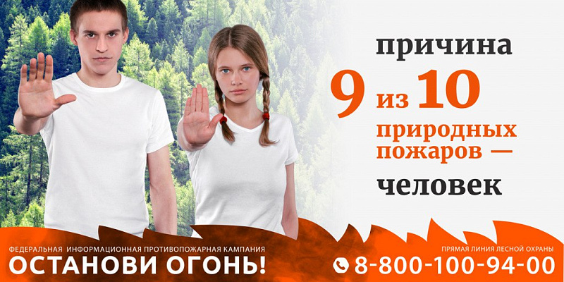 Особый противопожарный режим в лесах Архангельской области продлен по 28 сентября