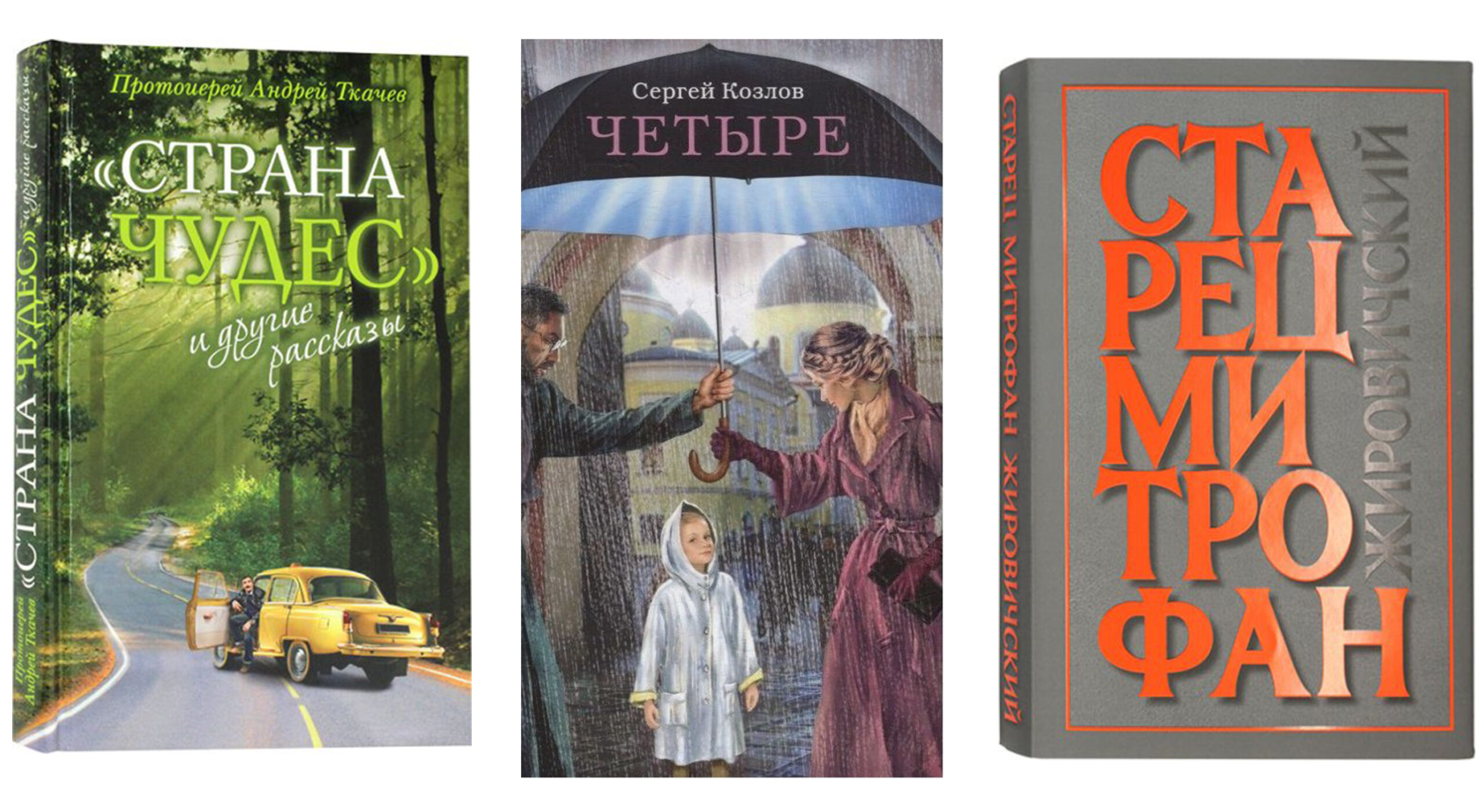 Виноградовская центральная библиотека рекомендует: сокровища книжных полок