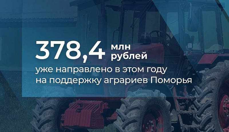 В Поморье продолжается финансовая поддержка сельхозтоваропроизводителей