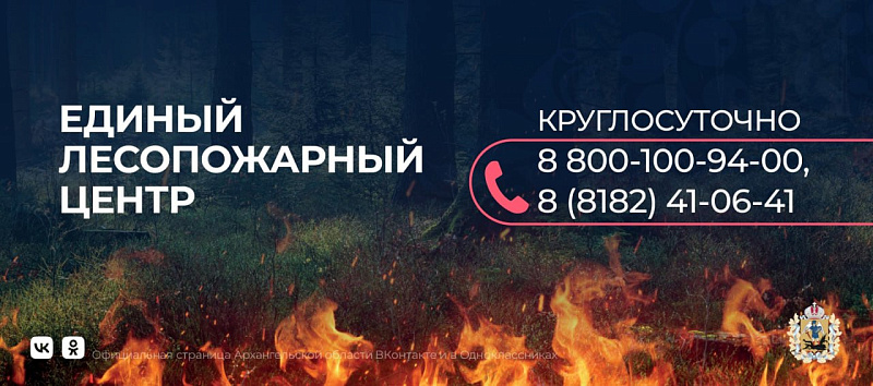 Региональная диспетчерская служба лесной охраны работает круглосуточно