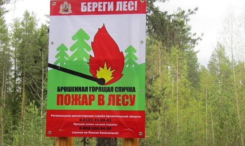 Порядка 18000 рейдов провели лесные инспекторы Поморья во время пожароопасного сезона в 2025 году