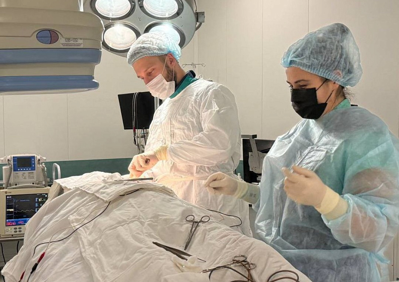Специалисты Архангельской областной клинической больницы внедрили новый метод лечения тяжелой сердечной недостаточности