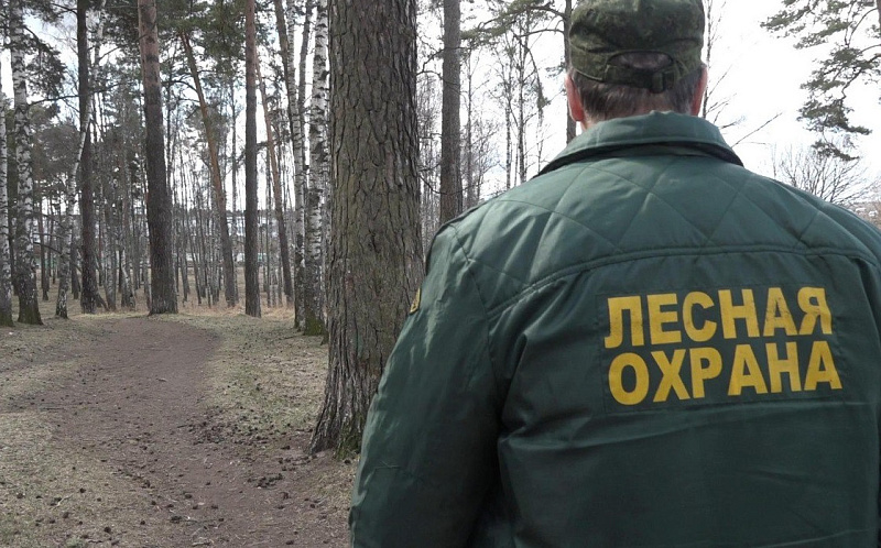 В лесничествах Поморья ведется подготовка к пожароопасному сезону
