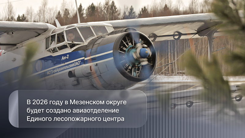 В Мезенском округе создается новое авиаотделение Единого лесопожарного центра