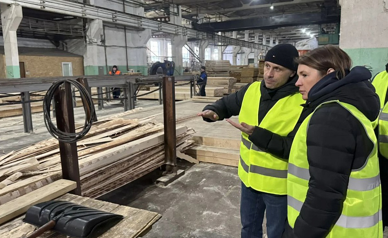 В Плесецке обсудили развитие предприятий округа с привлечением мер господдержки