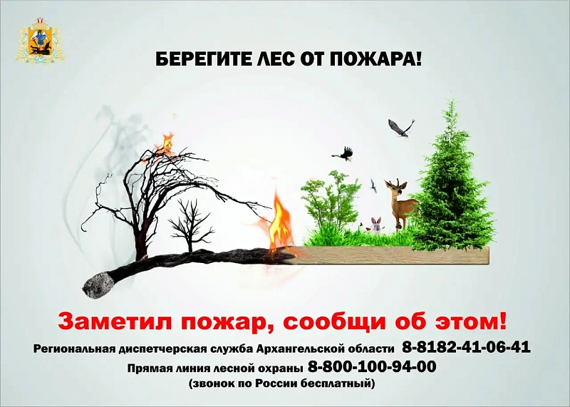 В лесах Архангельской области действует пожароопасный сезон