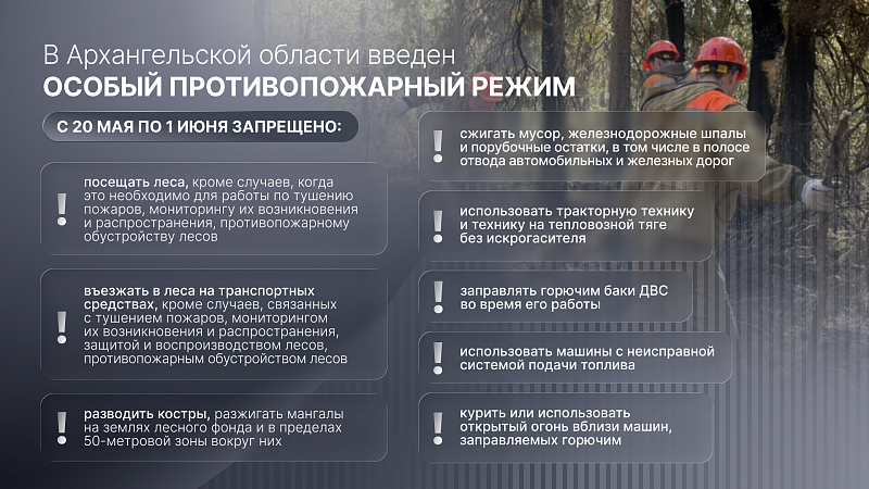 В лесах Архангельской области вводится особый противопожарный режим