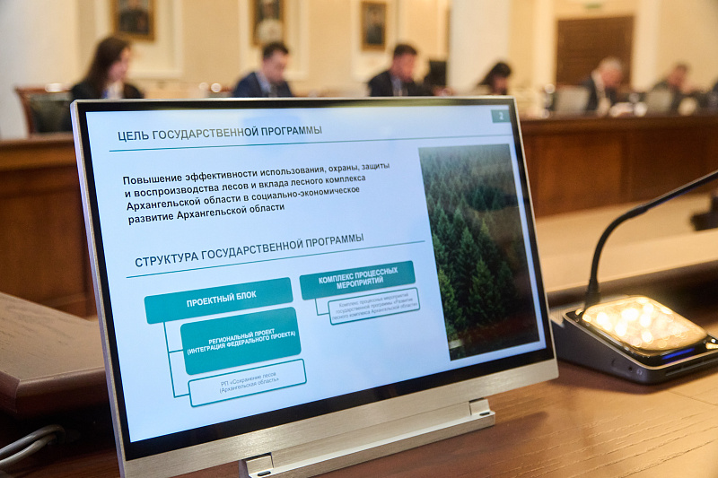 Более 6,6 млрд рублей направлено в 2025 году на развитие лесного комплекса Архангельской области