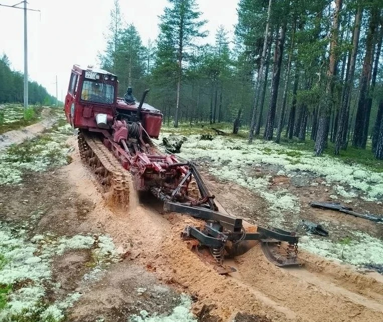 В Поморье проводятся работы по устройству и обновлению противопожарных минерализованных полос