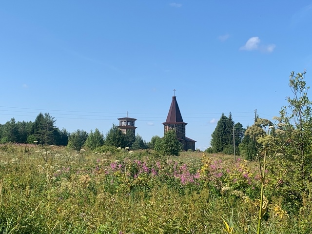Отключения света в Сельцо: в Двиноважском РЭС пояснили причину сбоев