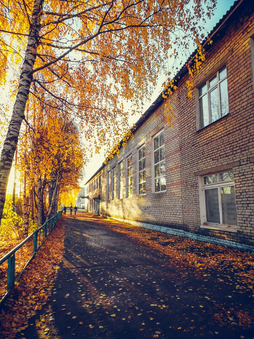 Их подвиг не забыт: работники Березниковского техникума — участники Великой Отечественной войны