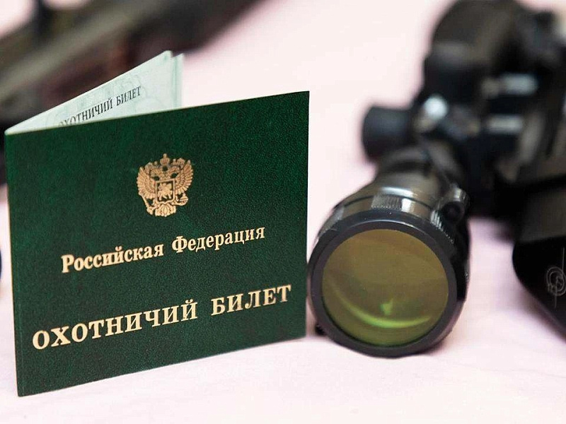 С 1 августа в Архангельской области открывается сезон охоты на бурого медведя и кабана