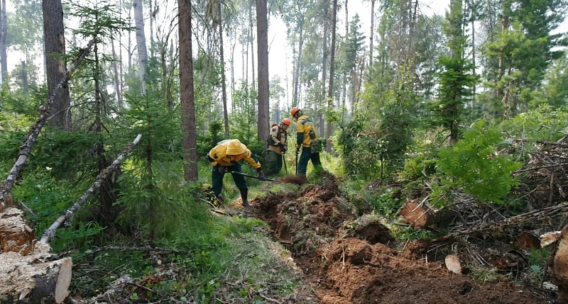 В Архангельской области не зафиксировано действующих лесных пожаров