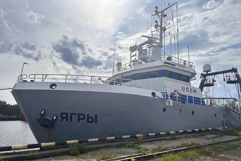 Более 390 тонн свежей рыбы из Баренцева моря доставили в порт Архангельска