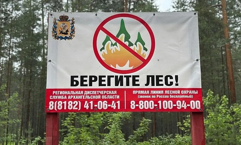 В минлеспроме региона подвели итоги наземного патрулирования лесов в пожароопасный сезон