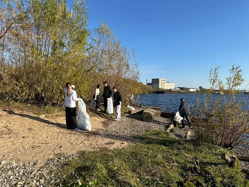 В Архангельске экоактивисты очистили берег Северной Двины